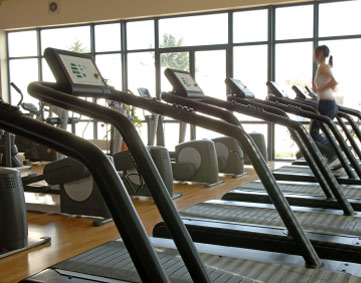 Acme Exercise Setting The Standard In The Fitness Industry 310